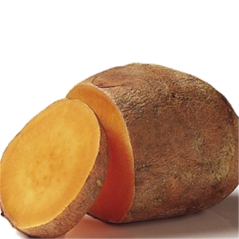 La batata o patata dulce, también llamada boniato
