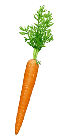 Las Zanahorias