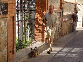 Es muy importante la estimulación física del animal mediante la realización de paseos, ya que esto hará que le baje el estrés, en el tratamiento conductual de las estereotipias (Foto: PV Argos).