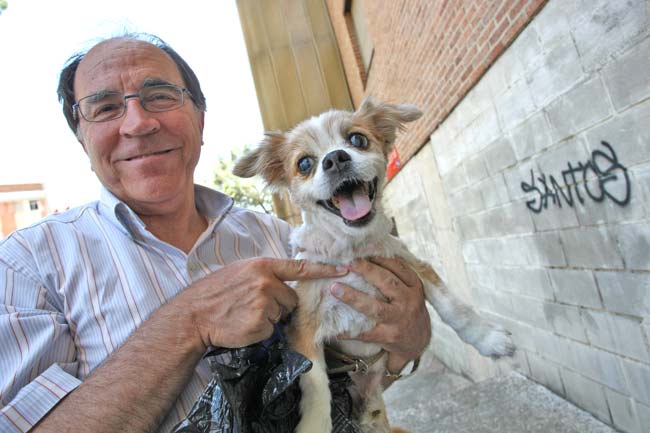 'Rubén', un perro de Madrid, se prepara para veranear en Marbella. (Imagen: Jorge París) 