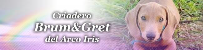 Brum&Gret del Arco Iris